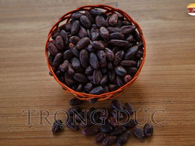 HẠT CACAO RANG KHÔNG VỎ