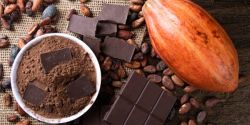 Lợi ích của bột cacao và chống chỉ định dùng