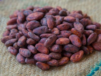 Cocoa beans