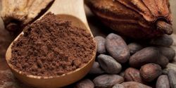 Lợi ích của bột cacao đến sức khoẻ của người sử dụng