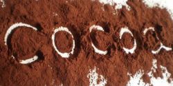 Những Cách Dùng Bột Cacao Mang Lại Hiệu Quả Tốt Nhất