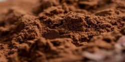 Cách chọn được bột cacao nguyên chất