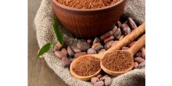 Pure cocoa powder, medicinal materials