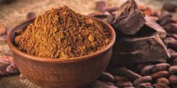 What is cocoa powder for processing?
