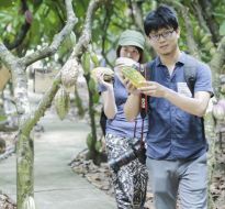 cacao-trong-duc-10.jpg