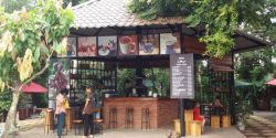 Visit the cocoa garden in Dong Nai