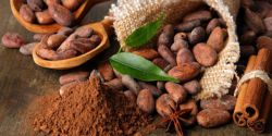 Lý Do Bạn Nên Chọn Bột Cacao Nguyên Chất Thay Vì Bột Cacao Pha