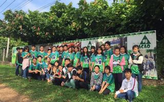 cacao-trong-duc-25.jpg