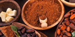 Cocoa benefits for health