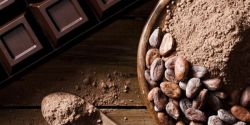 Bột Cacao Và Bột Socola Có Gì Khác Nhau?