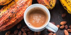 Cacao Có Tác Dụng Gì Và Có Nên Cho Trẻ Dùng?