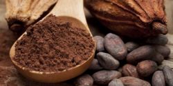 Cocoa Will Replace Coffee In The Future