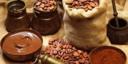 Tác Dụng Của Cacao Ngăn Ngừa Bệnh Tật Cho Cơ Thể Như Thế Nào?