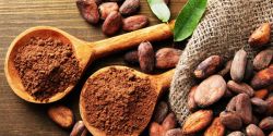 Uống cacao có tác dụng gì?