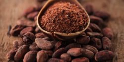 Uống Cacao Giúp Ổn Định Huyết Áp Không