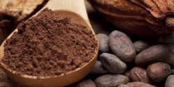 Mua bột cacao nguyên chất ở đâu tại tỉnh Đồng Nai