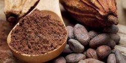 Sử dụng bột cacao như nào tốt nhất
