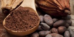 How to Drink Cocoa Weight-loss the right way effective Quickly