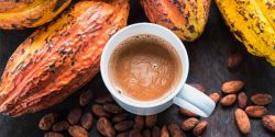 Bột cacao được dùng để làm gì?