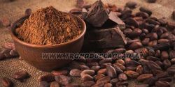 Bột cacao Việt Nam được xếp vào nhóm các quốc gia có hương vị tốt nhất thế giới