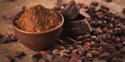 Dấu hiệu nhận biết bột cacao nguyên chất