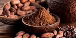 4 Cách Phân Biệt Bột Cacao Thật Giả