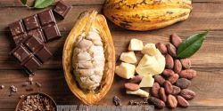 Một vài cách lựa chọn bơ cacao chất lượng