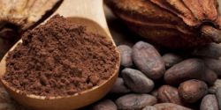 Ăn hạt cacao có lợi cho sức khỏe hay không?