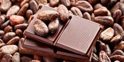 Effect Of Cocoa Treatment Of Old Age Insomnia