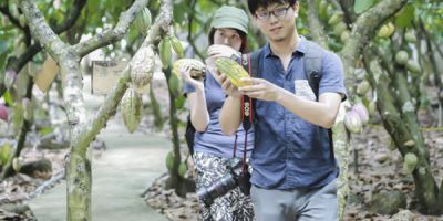Trải nghiệm Cacao