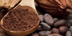 Cách chọn bột cacao chuẩn nhất