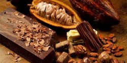 Cacao – Một Trong Những Thực Phẩm Giàu Magie Nhất Thế Giới.