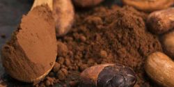 Những lưu ý, thận trọng khi dùng bột cacao
