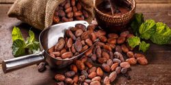 Tác dụng tuyệt vời của cacao đối với sức khỏe