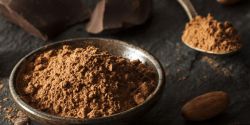 Bột cacao nguyên chất giá bao nhiêu và nên mua ở đâu?