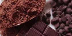 Cocoa Powder Uses For Best Performance