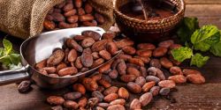 8 lợi ích của bột cacao và chống chỉ định dùng