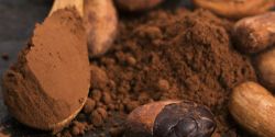 Người lớn tuổi uống cacao mỗi ngày được lợi gì?