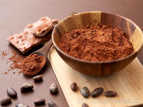 CACAO CÓ TỐT CHO TRẺ EM KHÔNG? CACAO CÓ TỐT CHO TRẺ EM KHÔNG?