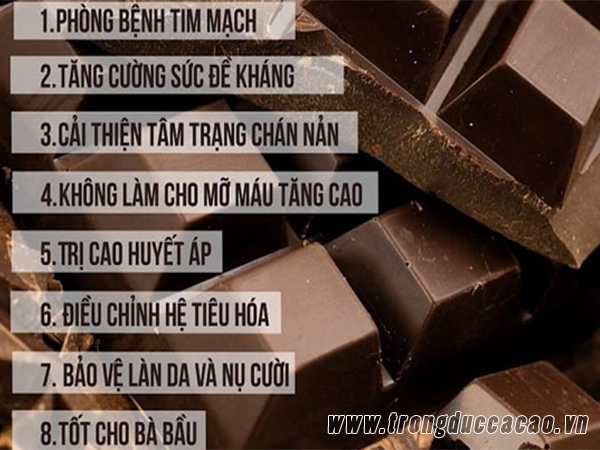 Cách ăn socola đen đúng cách không phải ai cũng biết 6