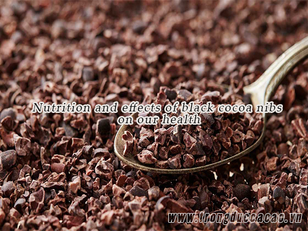 Cacao nibs giúp kiểm soát lượng đường trong máu