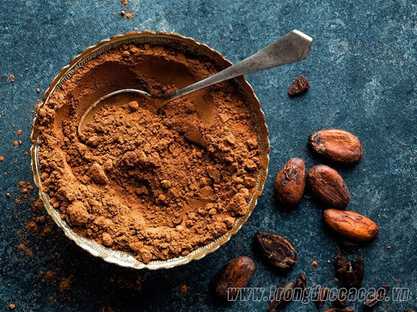 Nên sử dụng lượng bột cacao vừa đủ